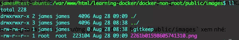Tại sao nên chạy ứng dụng container với Non-Root User 4